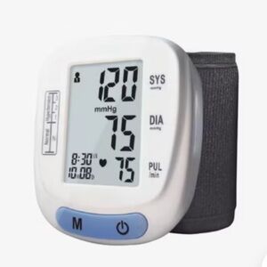 Wrist Fully Automatic Digital Blood Pressure Monitor HOST PICK